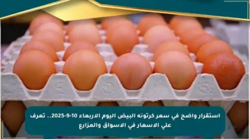 استقرار واضح في سعر كرتونة البيض اليوم الأربعاء 10-9-2025.. تعرف على الأسعار في الأسواق والمزارع